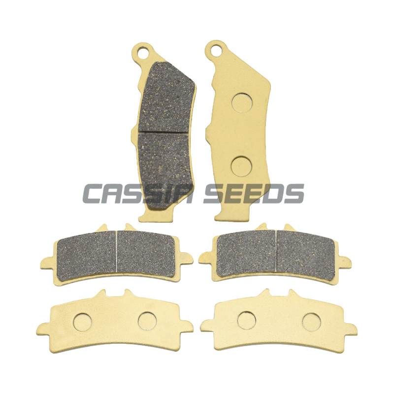 PRZEDNIE I TYLNE Klocki Hamulc – Carbon Ceramic Motorcycle Brake Rotor recenzja i cena