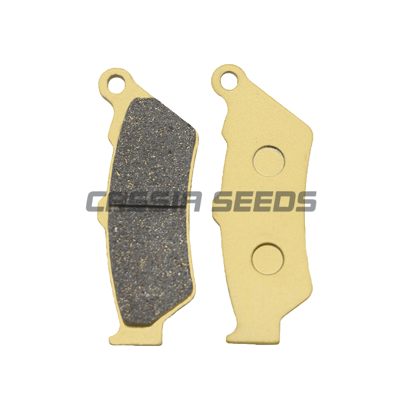 PRZEDNIE I TYLNE Klocki Hamulc – Carbon Ceramic Motorcycle Brake Rotor recenzja i cena